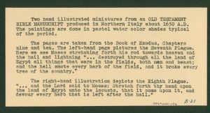 Old object label for manuscripts. Yellowed card with black typewriter text.