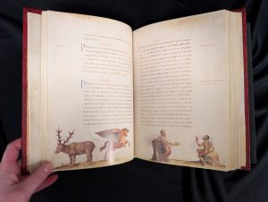 Illustration of a pegasus and some other animals in the Book of Animals by Petrus Candidus