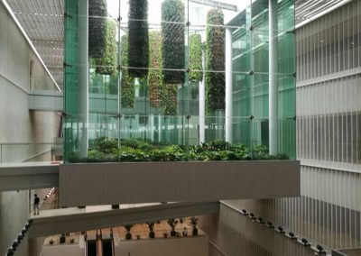 Green house inside Pudong Library