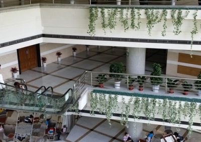 Escalators inside Shanghai Library