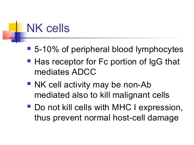 NK cells