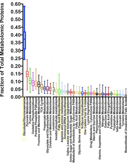 Figure 2: Comparison of the amount of proteins needed to perform key cellular activities. The leftmost blue bar shows that almost half of all metabolic proteins are dedicated to glycolysis, as compared to lower levels of proteins dedicated to biosynthetic programs. Modified from Madhukar, Warmoes, and Locasale, Organization of Enzyme Concentration across the Metabolic Network in Cancer Cells. PLOS, 2015.