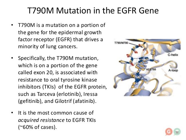 Figure 1. http://www.slideshare.net/JackWestMD/inherited-t790-m-egfr-mutation