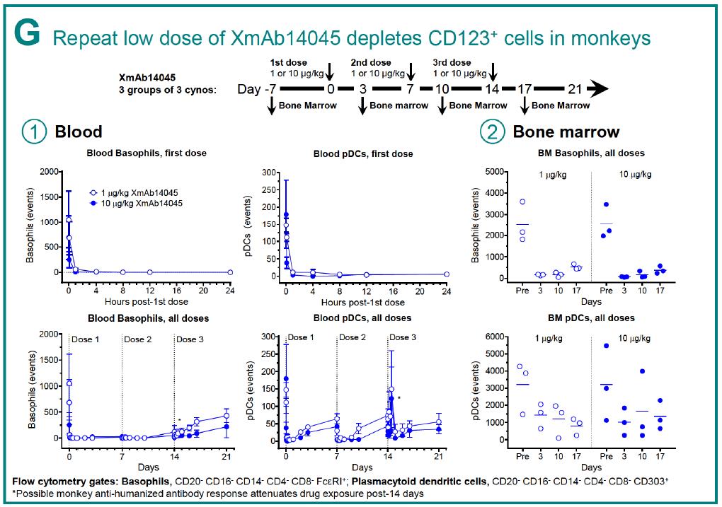Figure 5. In vivo efficacy of XmAb1405, demonstrating that repeat low doses can deplete CD123 cells in monkeys. https://www.researchgate.net/publication/307509940_Immunotherapy_with_Long-Lived_Anti-CD123_Anti-CD3_Bispecific_Antibodies_Stimulates_Potent_T_Cell-Mediated_Killing_of_Human_AML_Cell_Lines_and_of_CD123_Cells_in_Monkeys_A_Potential_Therapy_for_Acute_My