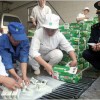 Food Safety in China: New Strategies Drew Thompson and Hu Ying Following a spate of adulterated foodstuff exports from 2005 to 2007, China’s food processing industry and regulatory system faced...