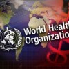 The Global Role of the World Health Organization The Global Role of the World Health Organization Jennifer Prah Ruger and Derek Yach The 21st century global health landscape requires effective global action in the face of globalization of...
