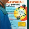 Indonesia, H5N1, and Global Health Diplomacy Rachel Irwin The World Health Organization (WHO) is mandated to be the United Nations specialized agency for health. However, in light of changing disease...