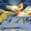 Living Organ Transplantation Policy Transition in Asia: Towards Adaptive Policy Changes Living Organ Transplantation Policy Transition in Asia: Towards Adaptive Policy Changes Alex He Jingwei, Allen Lai Yu-Hung, and Leong Ching Advances in medical science have opened up a new supply...