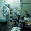Governance Implications of Emerging Infectious Disease Surveillance and Response as Global Public Goods Joshua Michaud Emerging infectious diseases (EIDs) are a continuing and serious threat to global health and welfare,...