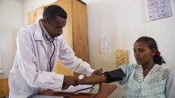 Grand Strategy and Global Health: The Case of Ethiopia Elizabeth H. Bradley, Lauren Taylor, Michael Skonieczny, and Leslie A. Curry Despite successes in global health to combat specific diseases, progress...