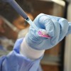 The WHO Meeting on Controversial H5N1 Research – David Fidler The WHO Meeting on Controversial H5N1 Research: What Implications for Global Health Governance? David P. Fidler, Contributing GHG Blogger James Louis Calamaras Professor of Law, Indiana University Maurer School of...