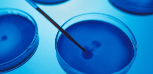 The WHO Meeting on Controversial H5N1 Research: What Happened, and What Does It Mean? David P. Fidler, GHG Contributing Blogger James Louis Calamaras Professor of Law, Indiana University Maurer School...