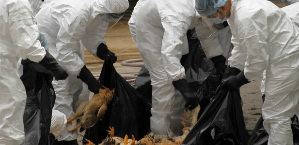 Yanzhong Huang, Editor Senior Fellow for Global Health, Council on Foreign Relations This is a cross-post with CFR’s Asia Unbound Blog. China has long been perceived as the epicenter of...