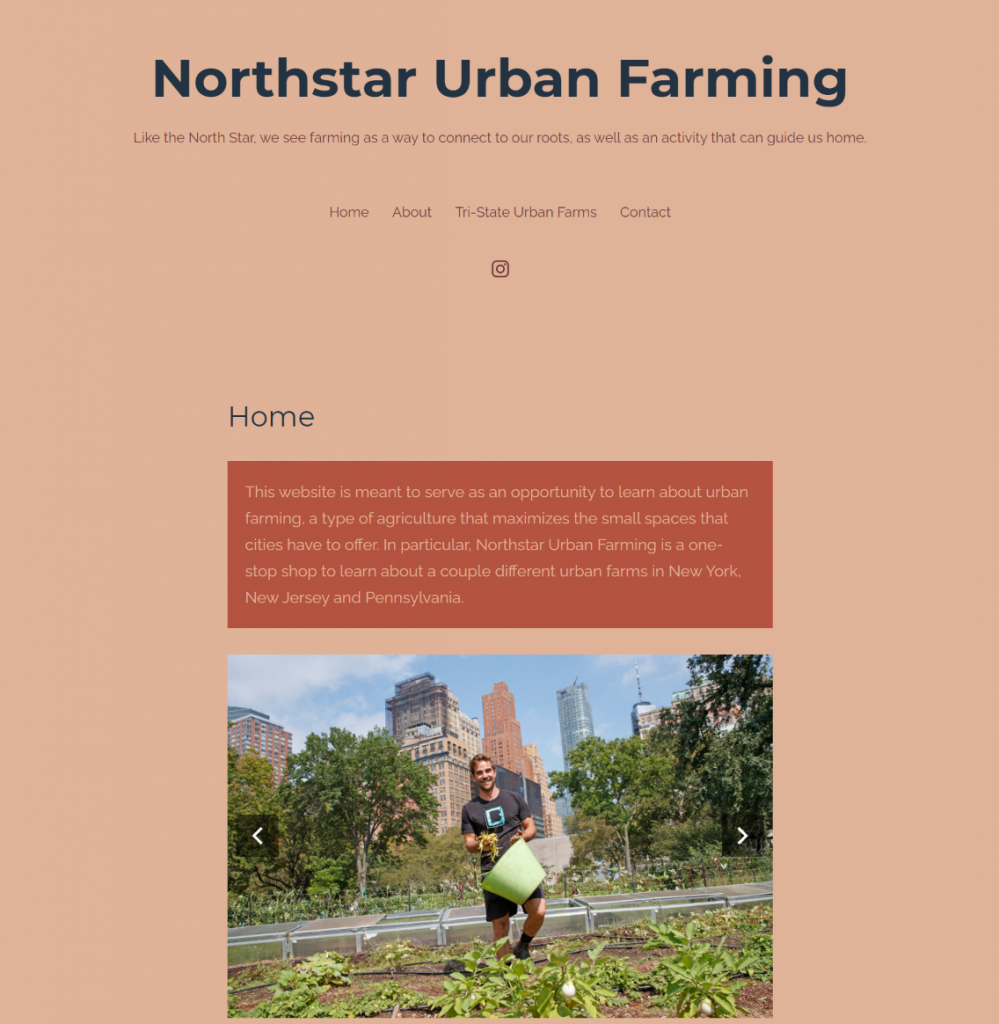 Northstar Urban Farming home page image