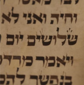 Photo of a Scroll of Esther in Free Online Biblical Hebrew Resources