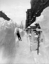 Blizzard of 1988