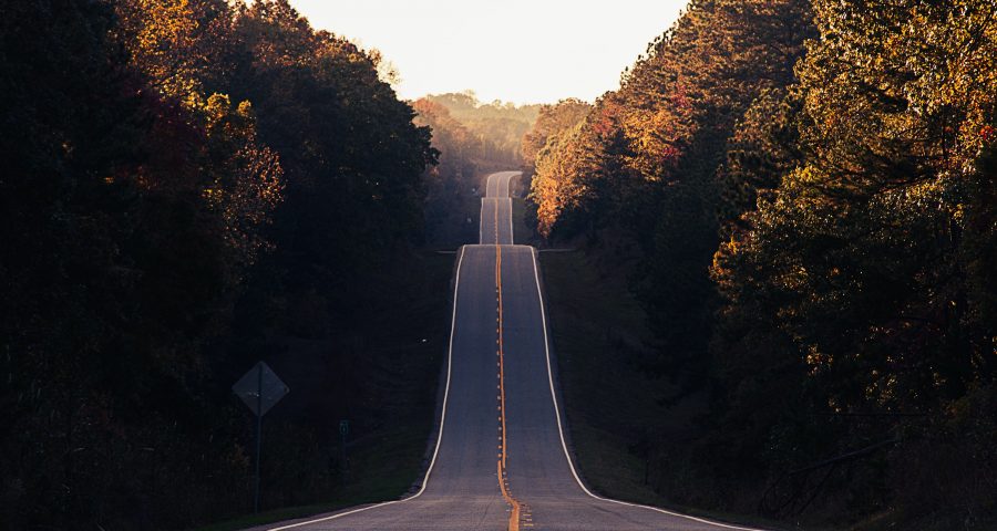 Image of a hilly road bordered by trees