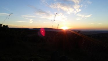 20160629_065400
