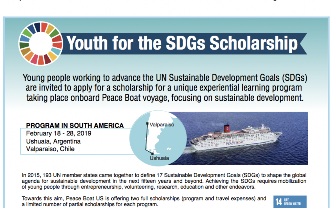 Youth for SDGs Scholarship – Applications open!
