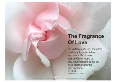 Spiritual Works of Mercy