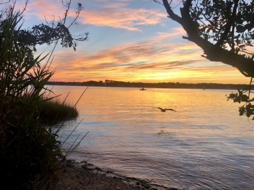 Sunset in Paradise: Shark River Island, NJ
