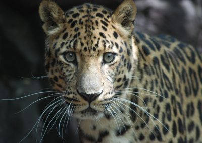 A Day at the Philadelphia Zoo