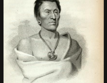 Ongpatogna (Big Elk) Chief of the Omawhaws