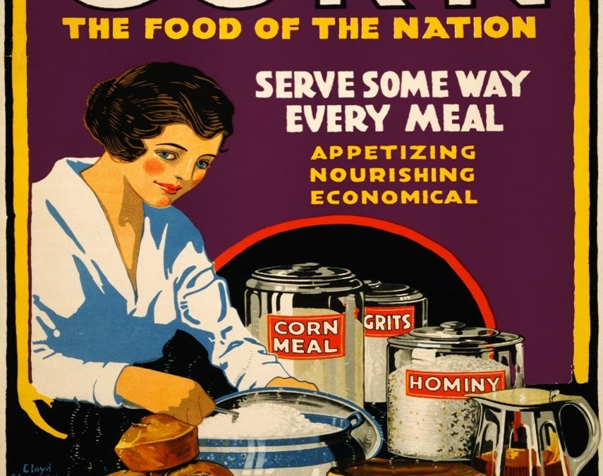 Corn: The Food of the Nation