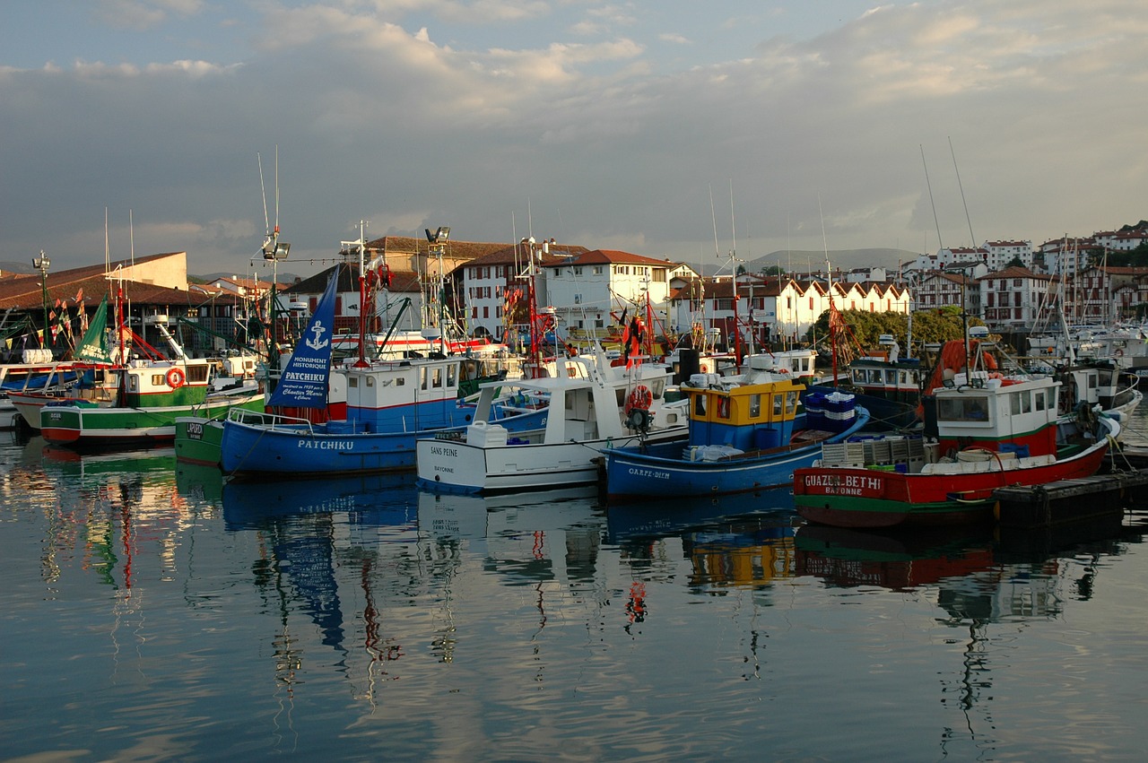 The Nascent Spirit of Solidarity: The Refugee Policies in the Basque Country