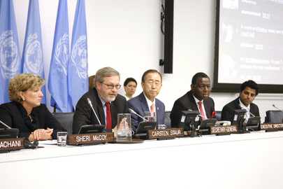 Are Existing Governance Structures Equipped to Deal with Today’s Global Health Challenges