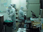 Governance Implications of Emerging Infectious Disease Surveillance and Response as Global Public Goods