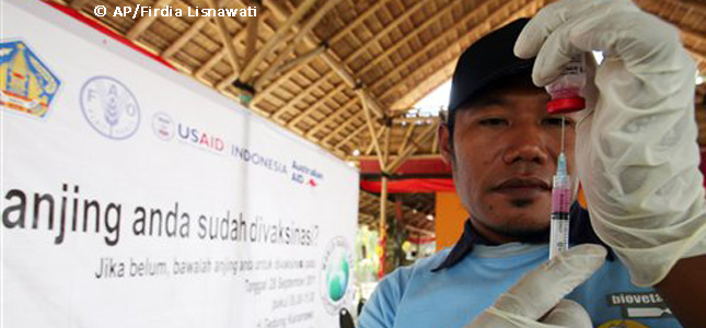 Human Security, Multi-polarity, and Development Assistance for Health