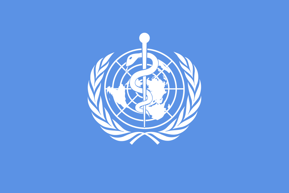 Together We Stand, Divided We Fall: Why Global Health Needs Governance and WHO Must Take the Lead