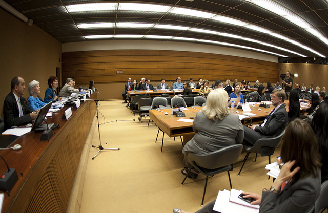A Special Role for the World Health Organization in the Creation of a Living, Breathing Global Health Governance Constitution