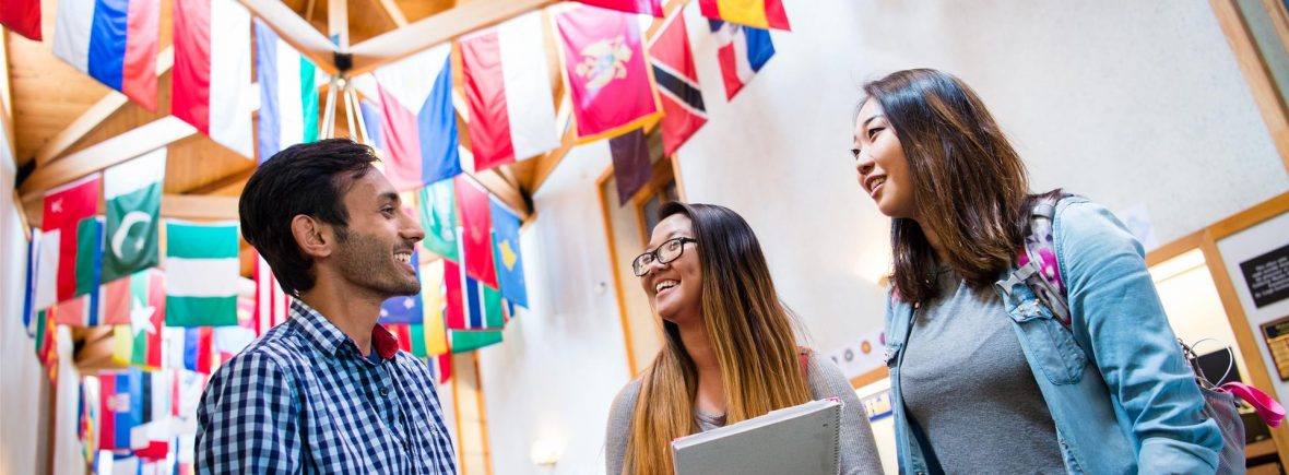 International Student Application SHU IBuddy