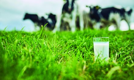 Got Milk? Remarkably, the Answer Was Yes