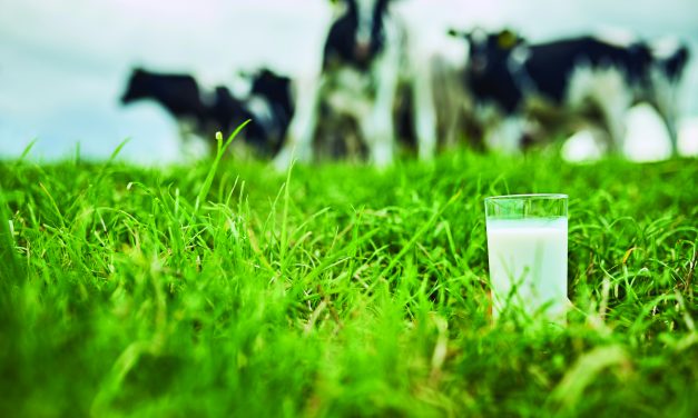 Got Milk? Remarkably, the Answer Was Yes