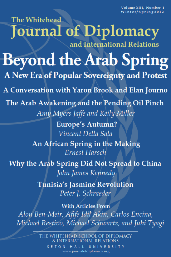 13.2 Beyond the Arab Spring Cover