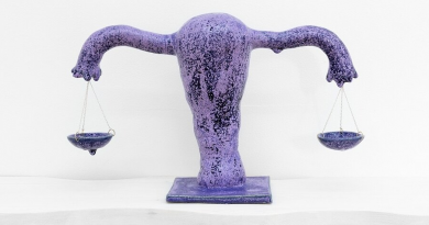 The Paradox of U.S. Global Reproductive Healthcare Policy