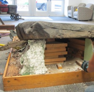 The Fahy Hall display had to be deconstructed in order to lift the petroglyph. Here, the surrounding chicken wire and plaster are being removed. 