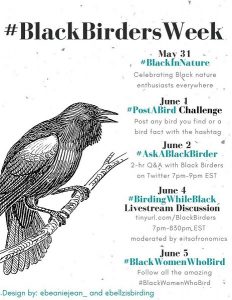 Social Media Flyer for #BlackBirdersWeek which occurred May 31 to June 5