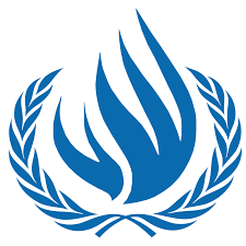 Universal Human Rights Month & University Libraries