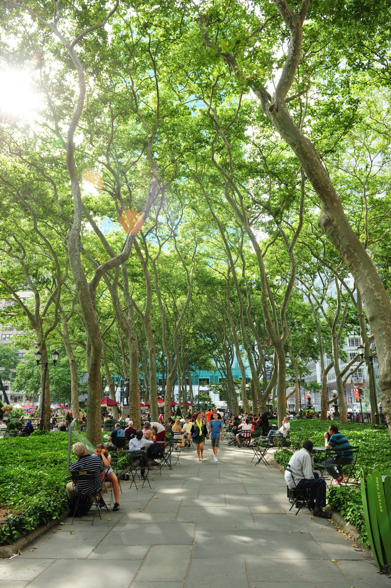 Park in NYC