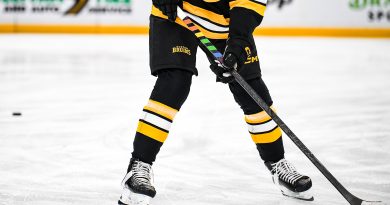Should Hockey Really Be “For Everyone?”