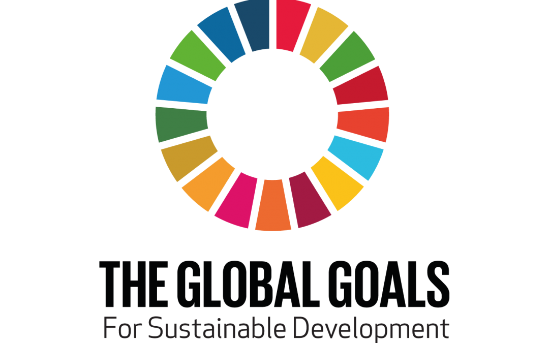 UN Sustainable Development Challenge: Cristian Ramos Miranda Reflects