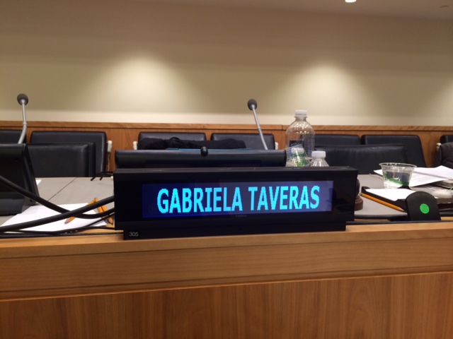Presenting at the UN: A Diplomacy Student’s Perspective
