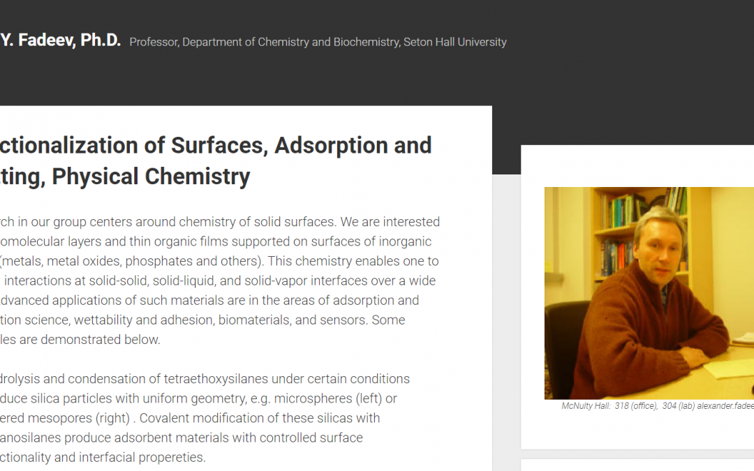 Functionalization of Surfaces, Adsorption and Wetting, Physical Chemistry