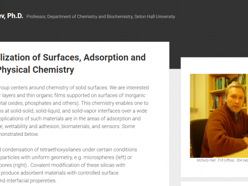 Functionalization of Surfaces, Adsorption and Wetting, Physical Chemistry