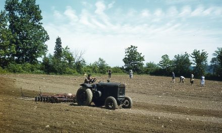 Farmers suffer in the face of mounting war needs