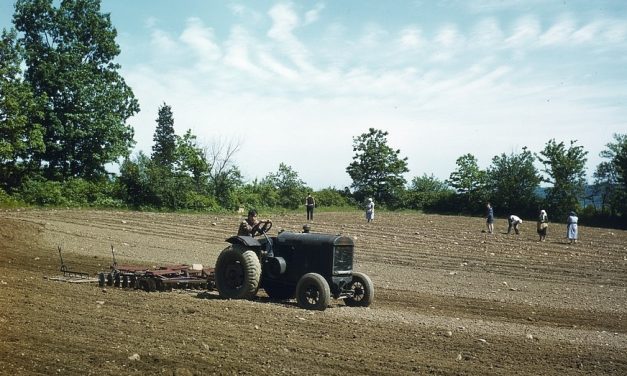 Farmers suffer in the face of mounting war needs